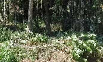 Imagem 2: Terreno - Bairro Parque das Fontes