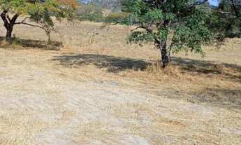 Imagem 3: Terreno módulo rural em para de minas