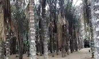 Imagem 7: Terreno na PISTA da BR174 no KM 108. 1.060.000m2. Benfeitoria e Projeto Turístico. Área d