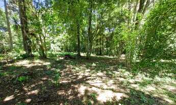 Imagem 5: Área para Incorporação para Venda em Curitiba, Santa Cândida