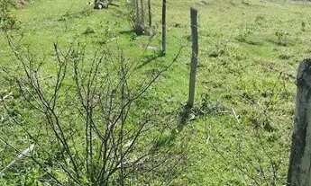 Imagem 3: Terreno à venda, 40000 m² por R$ 350.000,00 - Rocha Leão - Rio das Ostras/RJ