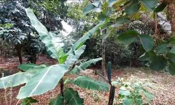 Imagem 6: Vendo ótima chácara no núcleo rural vale verde em Planaltina-DF