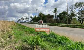 Imagem 5: Chácara 4 alqueires (19,72 hectares) Goianira -Go