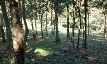 Imagem 3: TERRENO - RIACHO GRANDE - SP