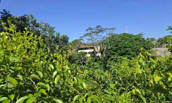 Imagem 4: BAIXEI BLACK Lotes no Balneário, ponta fruta, troco por equipamentos padaria