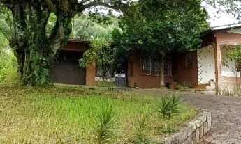 Imagem 6: Sítio bairro Linha Brasil, Nova Petrópolis.RS Ref.:134