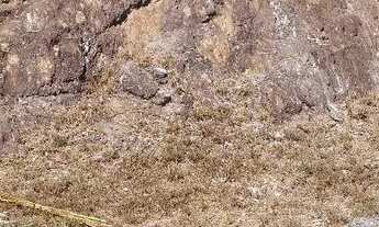 Imagem 4: Vendo lote 600 m Morada de Deus