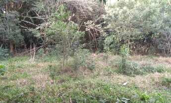 Imagem 4: Chácara com Riacho