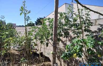 Imagem 3: TERRENO - RESIDENCIAL NOVA ERA - SP