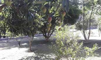 Imagem 6: Chácara em Estrada Municipal João Teixeira - Mãe dos Homens - Bragança Paulista/SP
