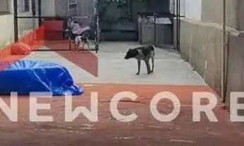 Imagem 5: Casa em Avenida Carlos Gomes - Vila Palmares - Santo André/SP