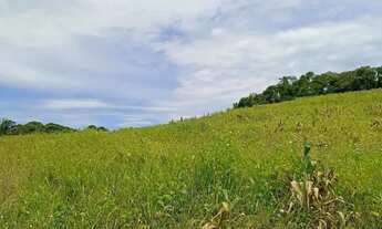 Imagem 3: Imóvel para venda com 500 metros quadrados em Ressaca - Ibiúna - SP