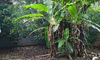 Imagem 3: Vendo Casa em Iranduba