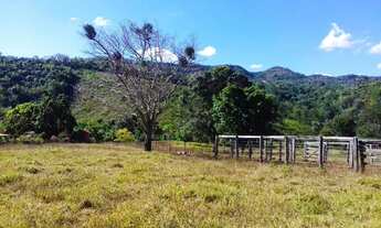 Imagem 6: Fazenda 18 Alqueires em Itapaci-GO - Excelente para Gado