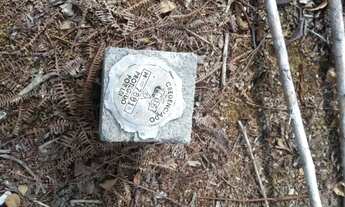 Imagem 7: Terreno na am 240 109x3000