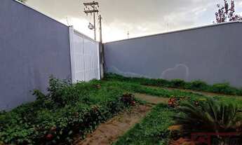 Imagem 3: Galpão/Depósito/Armazém em JARDIM PEROLA