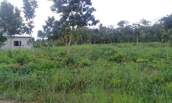 Imagem: Lote na beira do Rio Tocantins,Peixe Angical