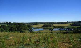 Imagem 2: Chácara Chácara com venda por R$100.000