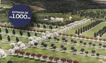 Imagem 4: Loteamento Alto alegre - 5 minutos do centro de caruaru