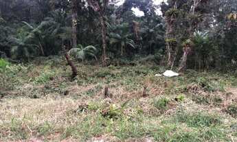 Imagem 2: Chácara na Praia!!! Novidade : 2000 m² Balneario Saint Etienne - Matinhos - PR