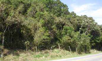 Imagem: Terreno para Venda em Pântano do Sul Florianópolis-SC