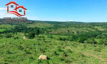 Imagem 7: Fazenda 319 Hectares Região De Nova Aurora -GO