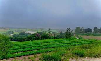 Imagem 7: Terreno a venda com qualidade de vida