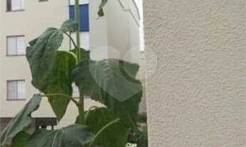 Imagem: São Carlos - Apartamento Padrão - Jardim