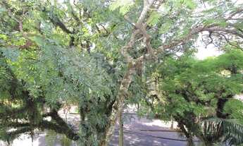 Imagem 5: Porto Alegre - Apartamento Padrão - Higienópolis