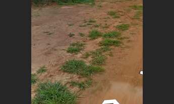 Imagem 7: Vendo Lote em igarapé OPORTUNIDADE