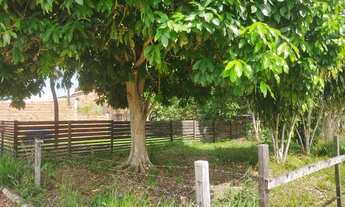 Imagem 5: Terreno no Jorge Kalume( Barro Vermelho