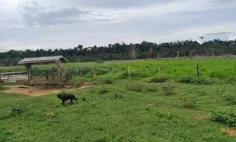 Imagem 2: Fazenda 328 alqueires Região de Ariquemes