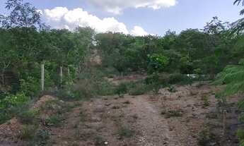 Imagem 2: Chácara 1000m², Energia, Água Encanada, Apenas 6km Centro de Aragoiânia