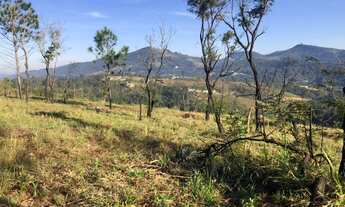 Imagem 3: Lote/Terreno para venda tem 1000 metros quadrados em Santa Inês - Mairiporã - SP