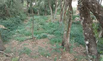 Imagem 7: Terreno em Jarinu SP / 300m² / Plano / Próximo a Comércio