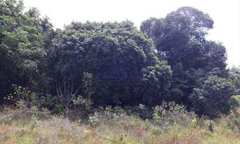 Imagem: Terreno, Itacimirim, Camaçari - R$ 630