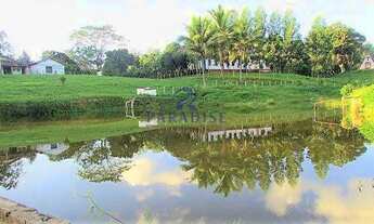 Imagem 2: Fazenda em Itabuna, frente para BR 101-160 ha- R$ 10.000.000,00