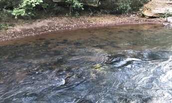 Imagem 2: Fazenda em São João d?Aliança 111 hectares