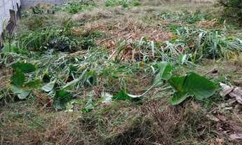 Imagem 3: Terreno em Vila Rosalina - Franco da Rocha