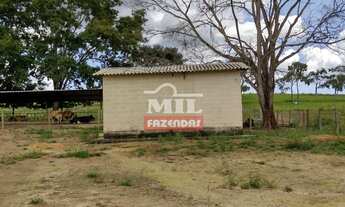 Imagem 6: Chácara 10 alqueires ( 48.4 hectares ) Vianópolis-GO