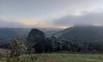 Imagem 7: PROMOÇÃO TERRENO DAS FLORES P 2