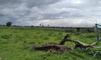 Imagem 5: Fazenda 328 alqueires Região de Ariquemes