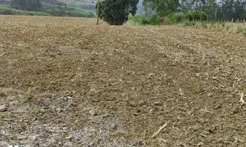 Imagem 5: SÃO MIGUEL ARCANJO - RURAL - Zona Rural