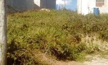 Imagem 3: Terreno enorme Terreno / lote com venda por R$45.000