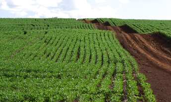 Imagem 2: Fazenda/Sítio/Chácara