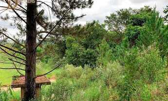 Imagem 2: CABREÚVA - Terreno Padrão - Jacaré