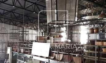 Imagem 4: Salão/Galpão (salão - térreo