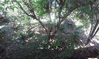 Imagem 4: Terreno (terreno normal