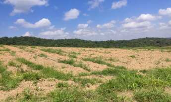 Imagem 13: Lote/Terreno para venda tem 500 metros quadrados em Morro Grande - Cotia - SP