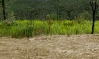 Imagem 3: TK Venha viver com tranquilidade!Lotes belíssimos